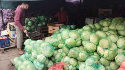 На Кіровоградщині протягом місяця вдвічі подорожчала капуста. Що вплинуло і які прогнози на ціну На Кіровоградщині протягом місяця вдвічі подорожчала капуста. Що вплинуло і які прогнози на ціну