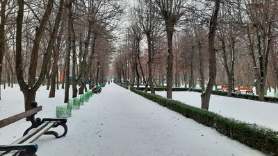 Ожеледиця й коливання температури. Погода на Кіровоградщині цього тижня