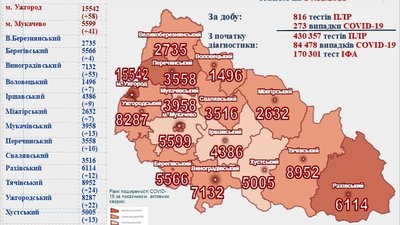 На Закарпатті за добу виявили 273 випадки COVID-19 На Закарпатті за добу виявили 273 випадки COVID-19