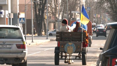 козак і кінь козак і кінь