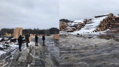 З кількох волинських пилорам вилучили незаконну деревину на 800 тисяч гривень