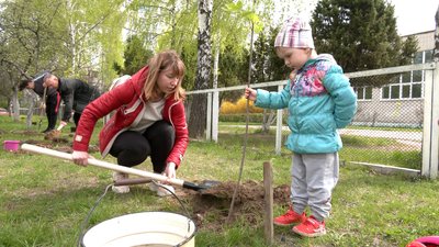250 дерев висадили одночасно у 25 локаціях міста: у Чернігові пройшла акція з озеленення 250 дерев висадили одночасно у 25 локаціях міста: у Чернігові пройшла акція з озеленення