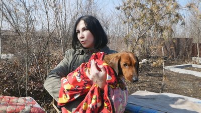 Залишили напризволяще: у Бахмуті шукають людей, які викинули за містом травмованого собаку Залишили напризволяще: у Бахмуті шукають людей, які викинули за містом травмованого собаку
