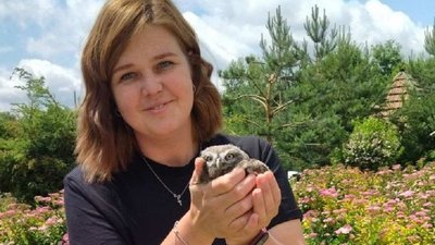 До Галицького національного парку привезли совеня, яке випало з гнізда До Галицького національного парку привезли совеня, яке випало з гнізда
