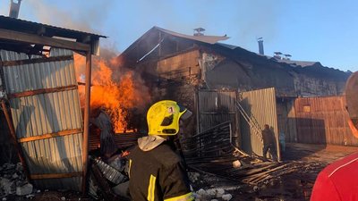 Пожежа на Закарпатті: горіло деревообробне підприємство