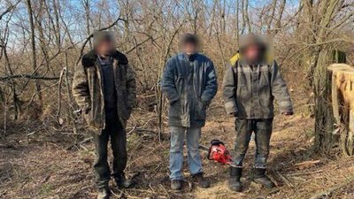 Ліс, кримінал, поліція, Дніпро