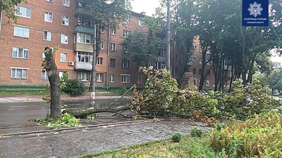 Повалені дерева та 31 населений пункт без світла — наслідки негоди на Сумщині