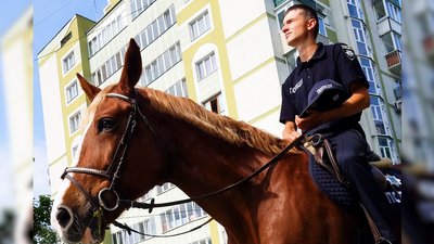 Експеримент почали: у Рівному може з'явитись кінна поліція Експеримент почали: у Рівному може з'явитись кінна поліція