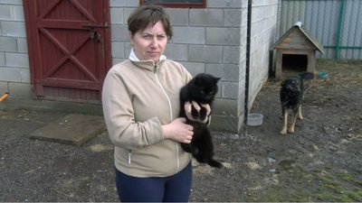 В селі на Волині, де біля школи виявили скаженого пса, почали вакцинувати усіх тварин В селі на Волині, де біля школи виявили скаженого пса, почали вакцинувати усіх тварин