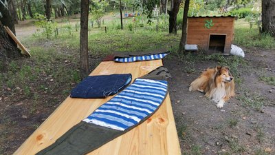 «Тепліше стає»: волонтерки з Полтави виготовляють для військових пояси із собачої шерсті