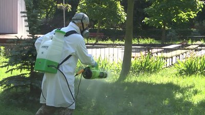 Тернопільські парки знову дезінфікують від кліщів через антирекорд укусів