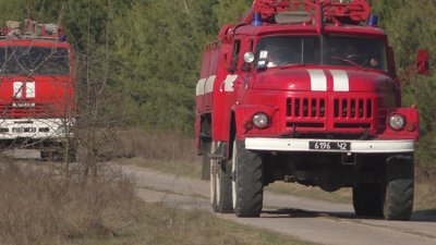 Пожежу лісу у Козелецькому районі загасили