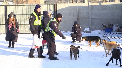 Поліцейські влаштували фотосесію з безпритульними тваринами Поліцейські влаштували фотосесію з безпритульними тваринами