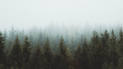 На Івано-Франківщині прогнозують туман з видимістю 100-500 м