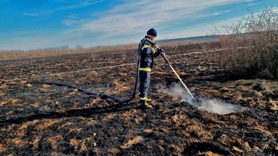 Пожежа на торфовищі, горів торф'яник на Волині, торф'яна пожежа
