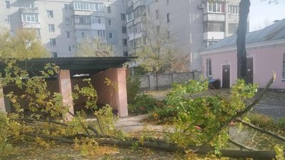 Померла дівчинка, на яку в дитсадку Кременчука впало дерево