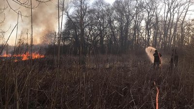 У Черкасах горить орнітологічний заповідник (ОНОВЛЕНО) У Черкасах горить орнітологічний заповідник (ОНОВЛЕНО)