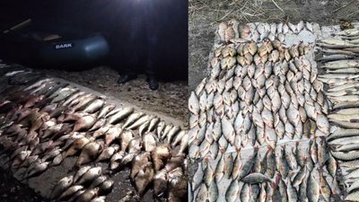 За добу на Черкащині браконьєри наловили риби на 67 тисяч гривень