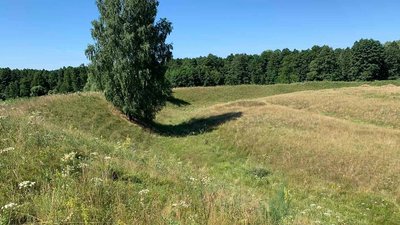 Оборонні вали у Рогощах Оборонні вали у Рогощах