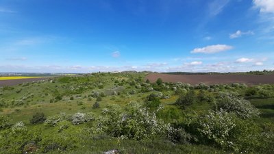 музикова скала, товтри, скелі, гори, тернопільщина