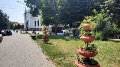 З клумб біля Прозорого офісу повиривали квіти З клумб біля Прозорого офісу повиривали квіти