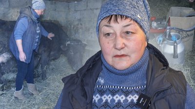 Браїлів, доїльне обладнання