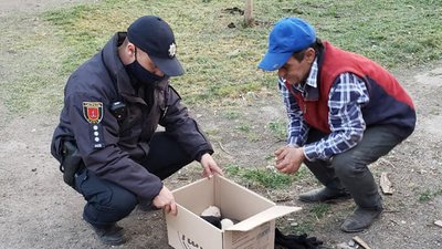 Одеські поліцейські допомогли знайти домівку цуценятам Одеські поліцейські допомогли знайти домівку цуценятам