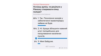 Суспільство не готове: Кінна поліція