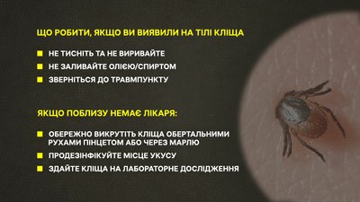 Кліщі на Хмельниччині: є перші інфіковані
