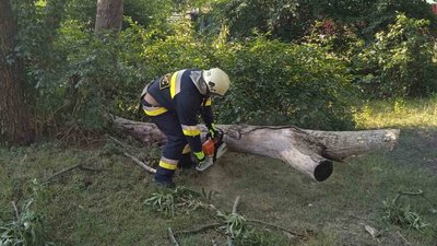 На Кіровоградщині усувають наслідки буревію На Кіровоградщині усувають наслідки буревію