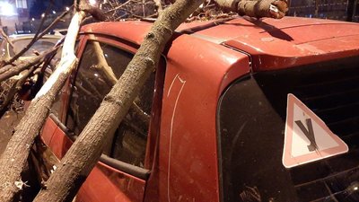 У Харківській області оголосили штормове попередження У Харківській області оголосили штормове попередження