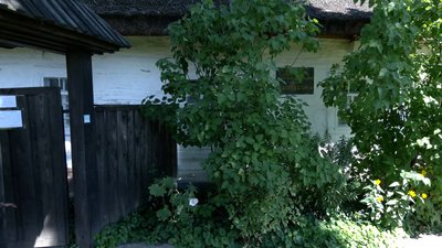 Знає предків до 11-го коліна: як житель Сосниці дослідив свій та режисера Олександра Довженка родовід Знає предків до 11-го коліна: як житель Сосниці дослідив свій та режисера Олександра Довженка родовід