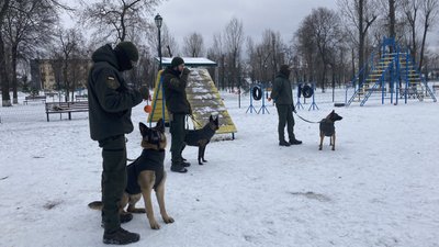 собаки нацгвардія собаки нацгвардія