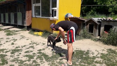 Сумські волонтери отримали гуманітарну допомогу для безпритульних тварин Сумські волонтери отримали гуманітарну допомогу для безпритульних тварин