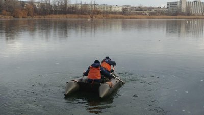 Рятувальники визволили лебедів із замерзлого озера у Харкові