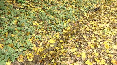 Фото: Суспільне Поділля Фото: Суспільне Поділля