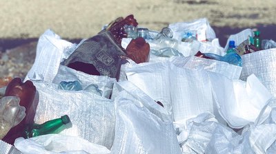 Берег річки Тиса прибирали на Виноградівщині