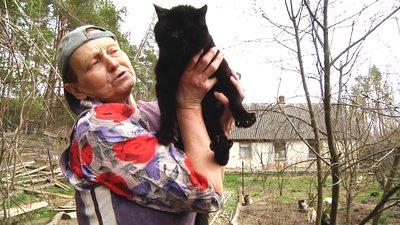 На Житомирщині Раїса Лукашевич підгодовує п'ятдесят котів та вісім собак – їм бракує їжі На Житомирщині Раїса Лукашевич підгодовує п'ятдесят котів та вісім собак – їм бракує їжі
