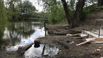 У Тернополі в парку зрізали дерева та роблять благоустрій У Тернополі в парку зрізали дерева та роблять благоустрій