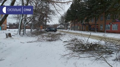 Наслідки дії шквального вітру в Сумах (ФОТОРЕПОРТАЖ)
