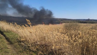 Поліцейські розслідують причини займання сухостоїв на Харківщині Поліцейські розслідують причини займання сухостоїв на Харківщині