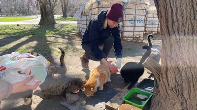 корм для тварин корм для тварин