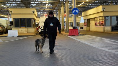 Прикордонник-кінолог з Волині започаткував династію службових собак Прикордонник-кінолог з Волині започаткував династію службових собак