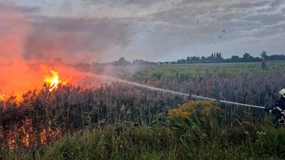 Горить суха трава на Волині, пожежа, ДСНС