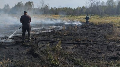 Горить торф, загоряння торфу, пожежа на торф'янику