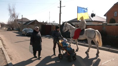 кінь і козачок кінь і козачок