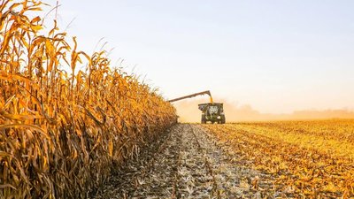 На Закарпатті завершили збір ранніх зернових культур