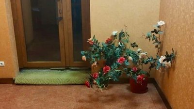 Стріляв у перехожих у середмісті Житомира: жителю Вінниці оголосили підозру Стріляв у перехожих у середмісті Житомира: жителю Вінниці оголосили підозру