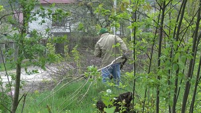 На Івано-Франківщині 344 безробітних взяли участь у суспільно корисних роботах: як приєднатися На Івано-Франківщині 344 безробітних взяли участь у суспільно корисних роботах: як приєднатися