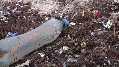 В Одесі водолази обстежили морське дно напередодні Водохреща